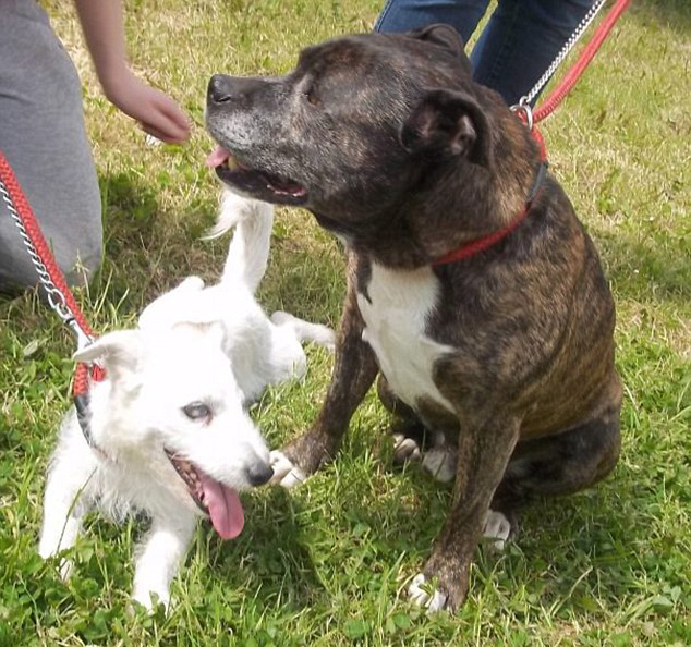 三亿体育手机版-
2020年最新 一个户型的二十个可能 厉害了设计师(图1) 三亿体育