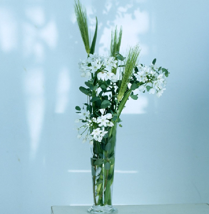 2012年威尼斯双年展: 俄罗斯国家馆|三亿体育官网(图2) 三亿体育官网