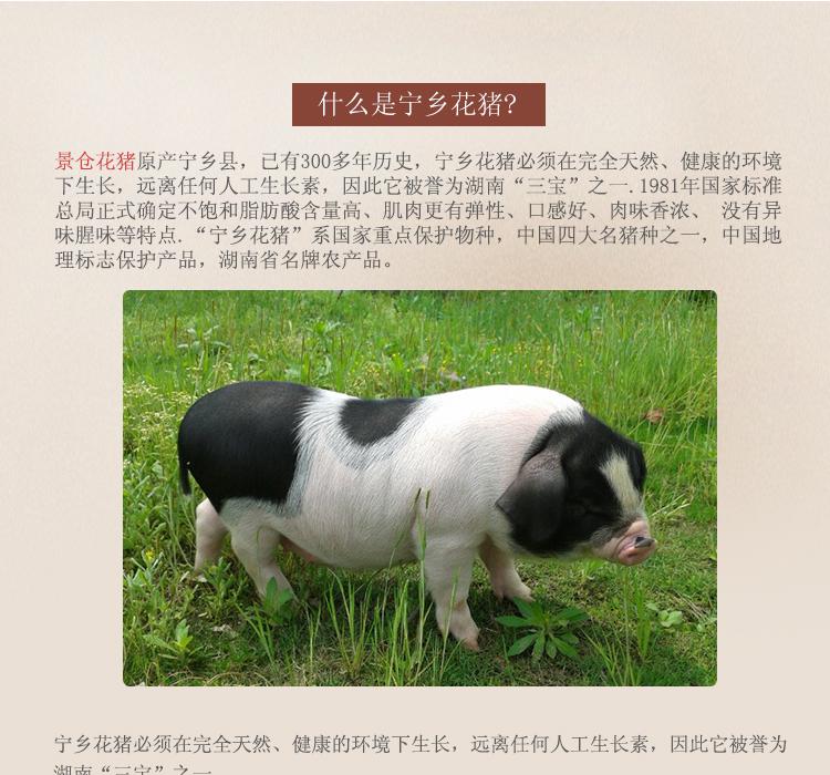 郑州市二七区建新街幼儿园:小手拉大手相伴同悦读-三亿体育官网(图2) 三亿体育官网