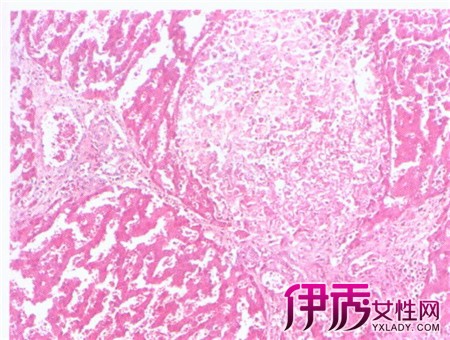 三亿体育手机版:20年后的sony概念电脑(图1) 三亿体育