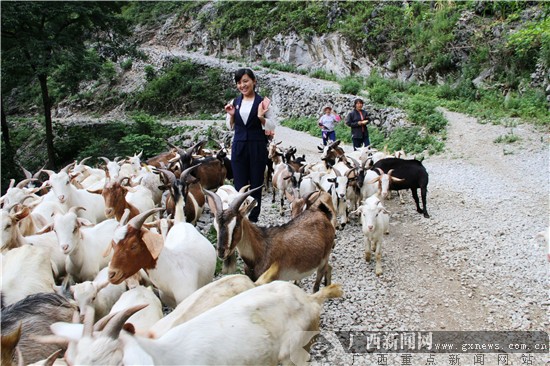 三亿体育官网-宋明两朝的小稍弓(图1) 三亿体育手机版