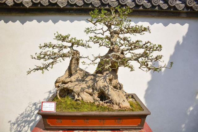 【三亿体育手机版】仰韶幼儿园召开“不忘初心牢记使命”主题教育组织生活会(图3) 三亿体育官网