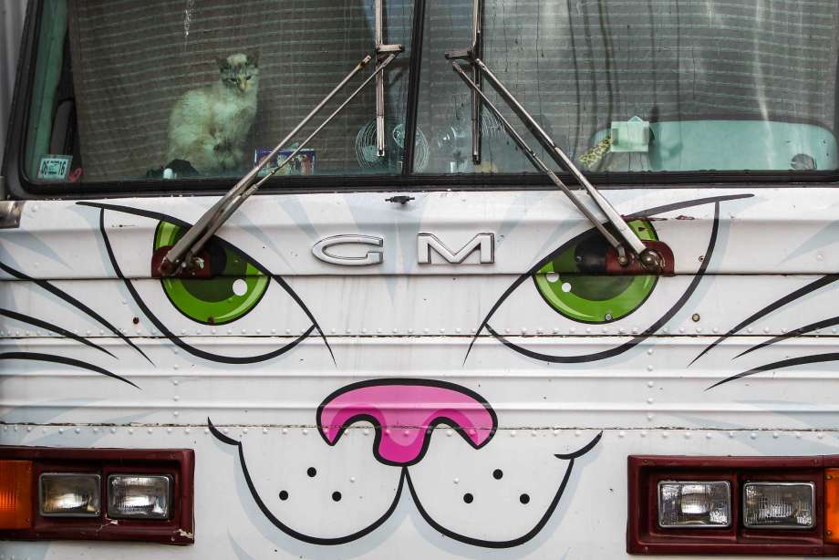 北京颐和园等建集雨系统年储水合200个昆明湖-三亿体育手机版(图1) 三亿体育手机版