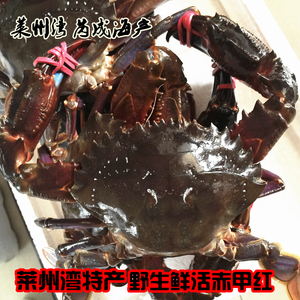 三亿体育手机版